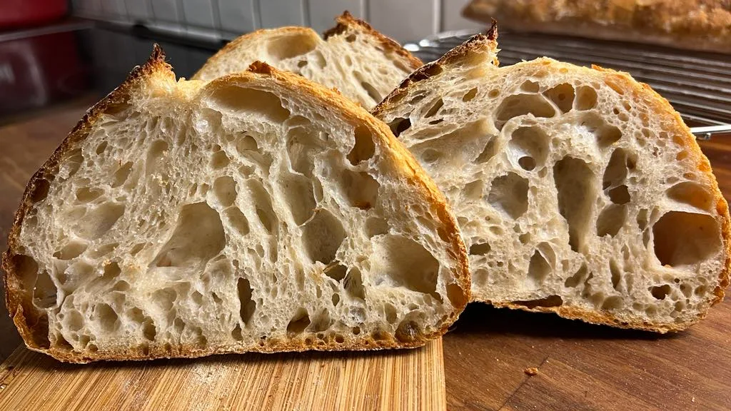 Bröd